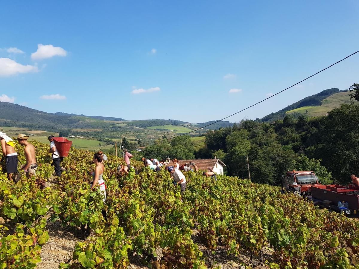 Ancien Cuvage Du Beaujolais - Studio Tout Confort Villa Saint-Didier-sur-Beaujeu Luaran gambar